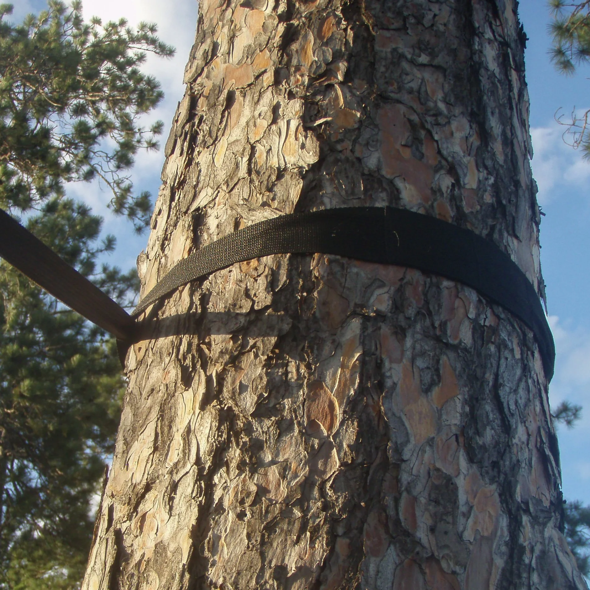 Eco-Friendly Tree Straps - 2 Pack - Image 3
