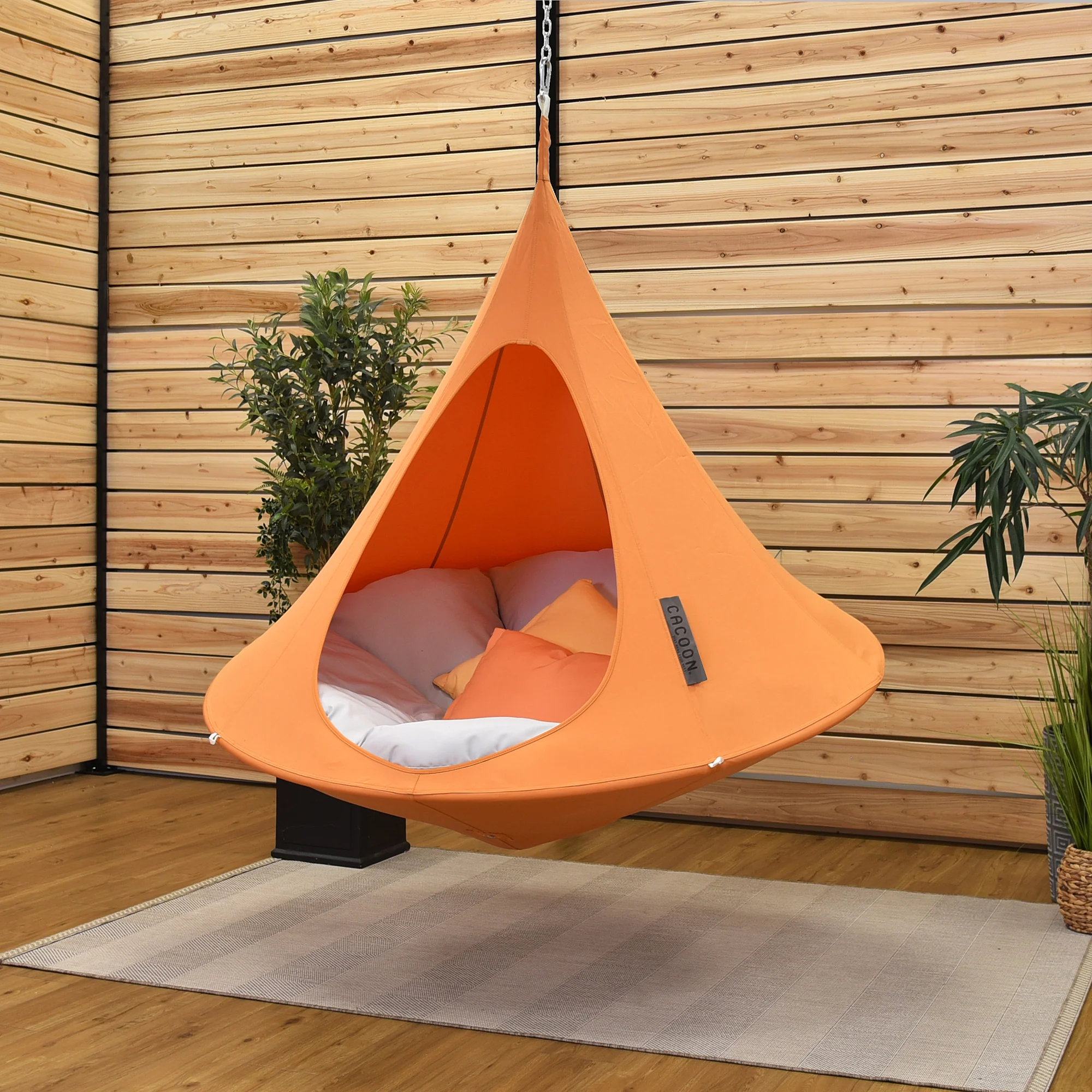 Single Cacoon - Mango - Image 3
