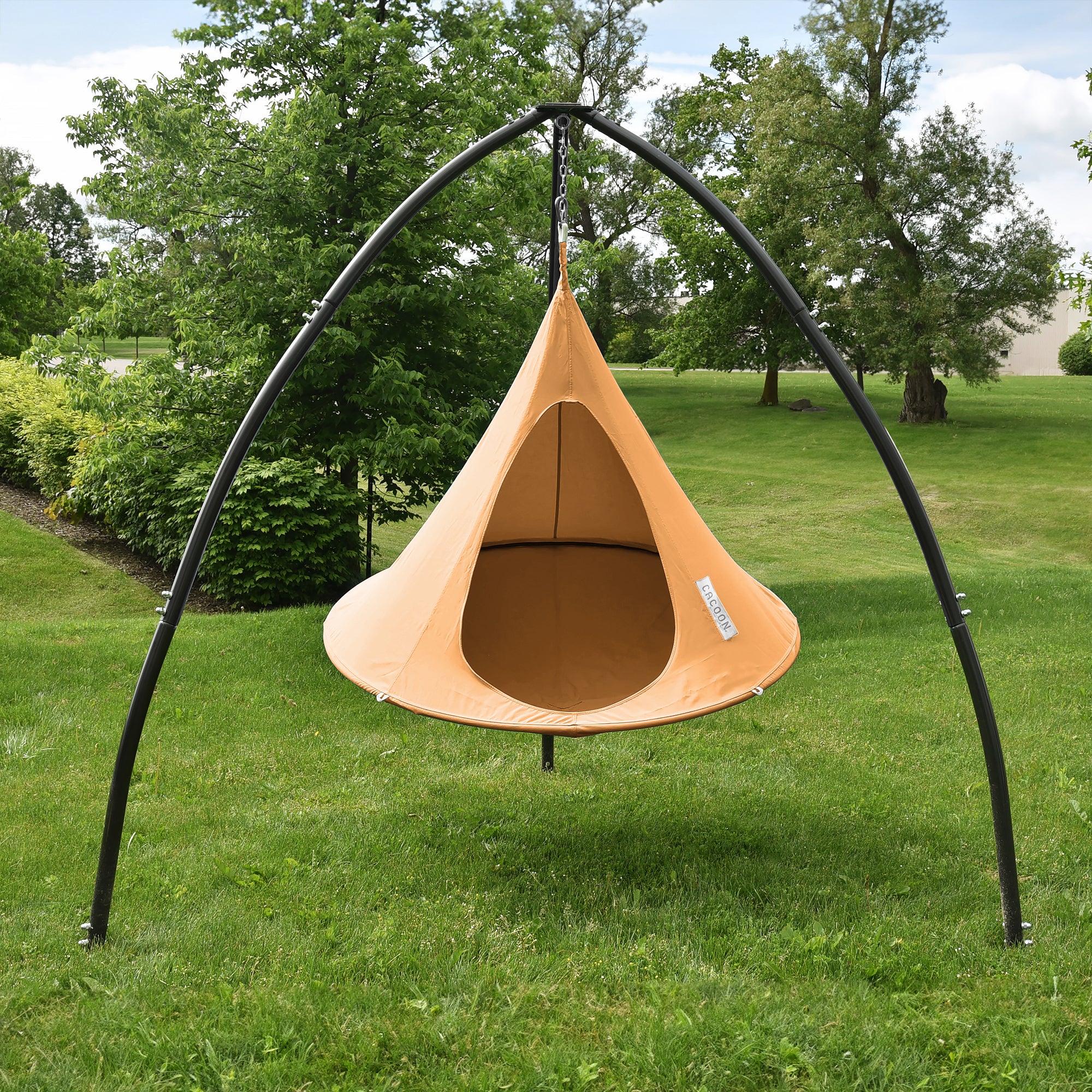 Single Cacoon - Mango - Image 4