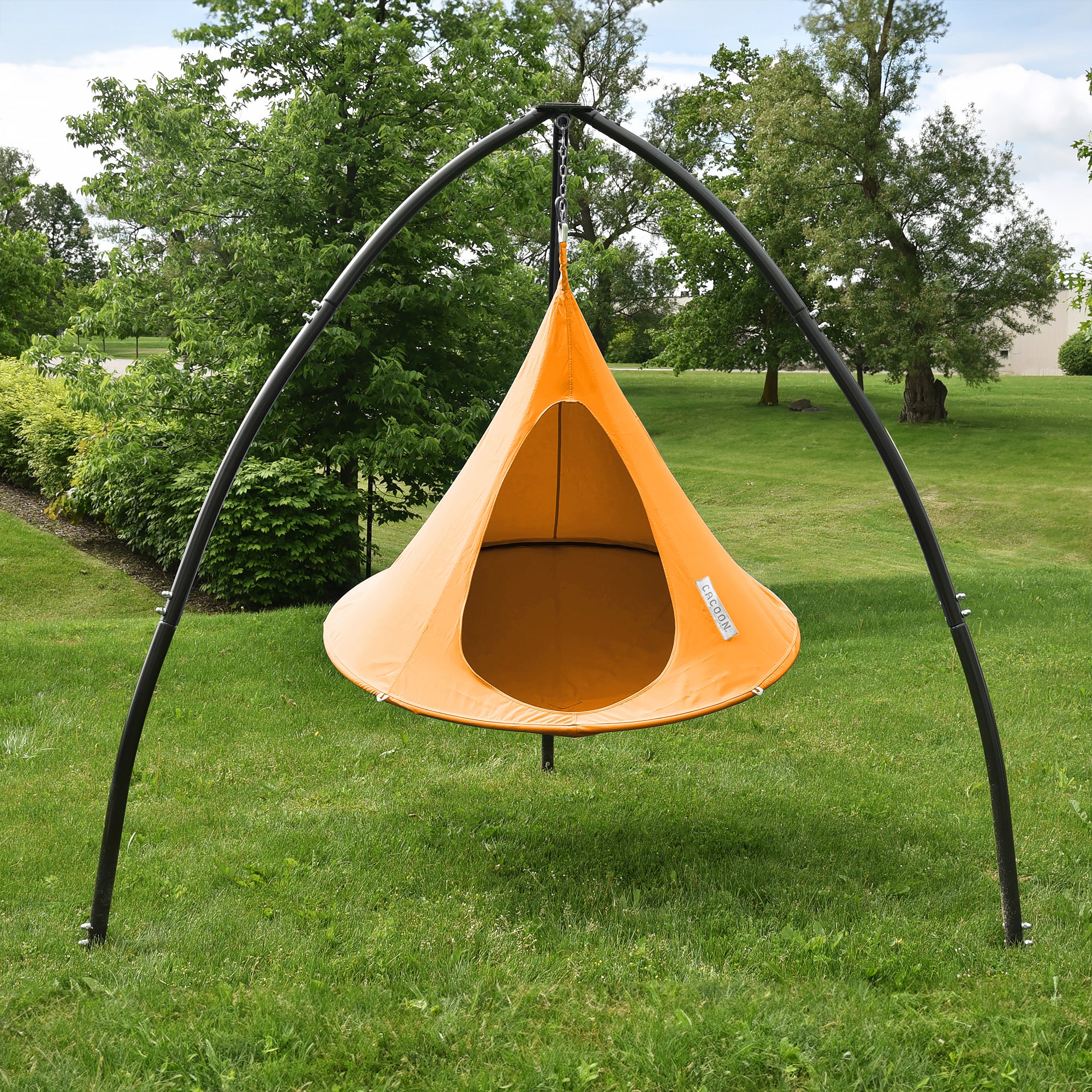 Single Cacoon - Nectarine - Image 4
