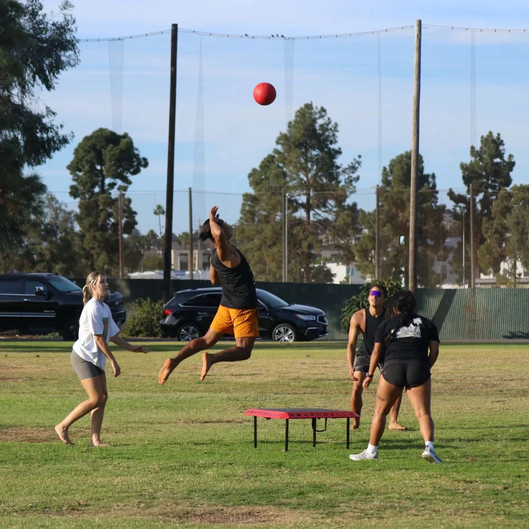 The Boardball Set - Outdoor Game - Image 4
