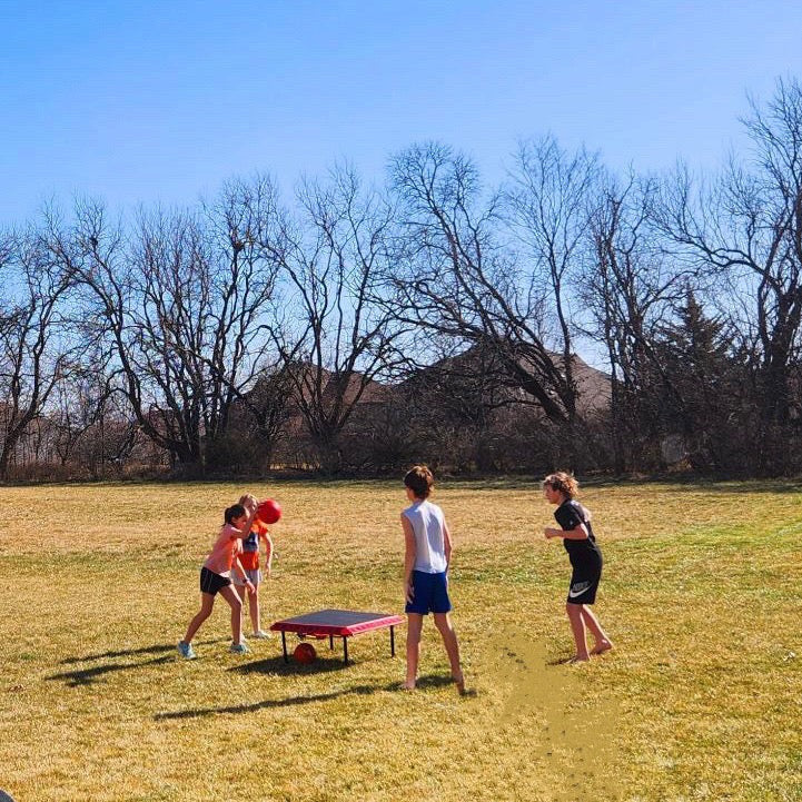 The Boardball Set - Outdoor Game - Image 6